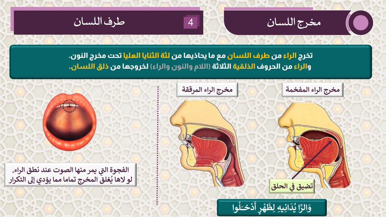 مخارج الحروف - الصفحة 14
